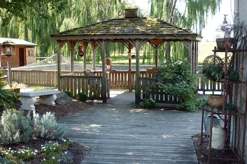 Original landscaping backyard